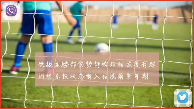 樊振东腰部伤势持续好转恢复有球训练竞技状态渐入佳境前景可期