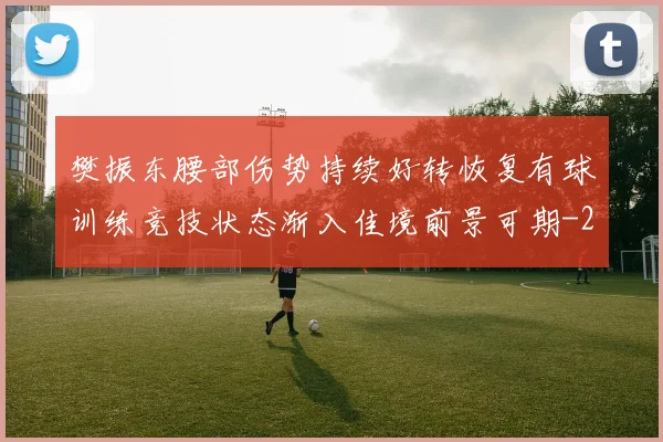 樊振东腰部伤势持续好转恢复有球训练竞技状态渐入佳境前景可期
